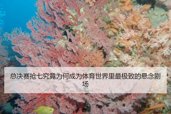 总决赛抢七究竟为何成为体育世界里最极致的悬念剧场